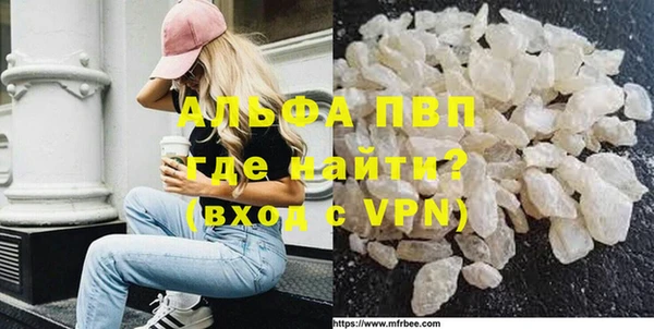 стафф Алексин