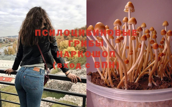 тгк Саяногорск