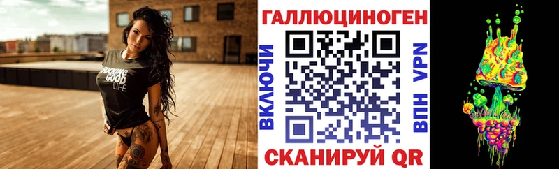 площадка как зайти  Любим  Псилоцибиновые грибы GOLDEN TEACHER 